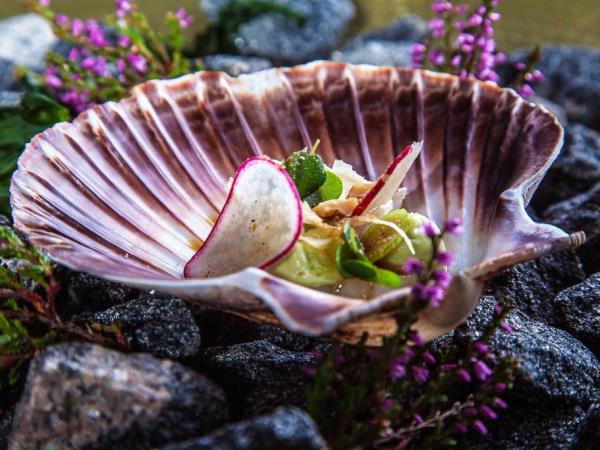 Norway, Denmark and Swedish Lapland luxury vacation
