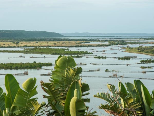 South Africa and Mozambique small group tour