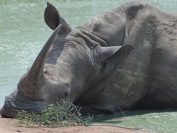 South Africa and Mozambique small group tour