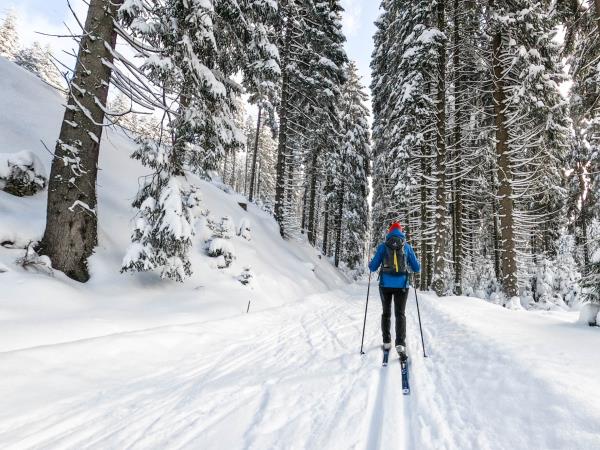 Norway, Denmark and Swedish Lapland luxury vacation