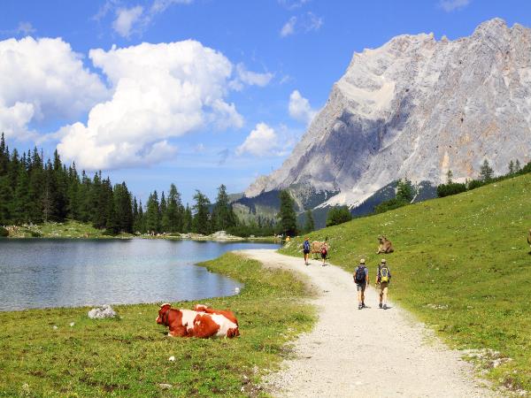Austria walking vacation easy mountain hiking