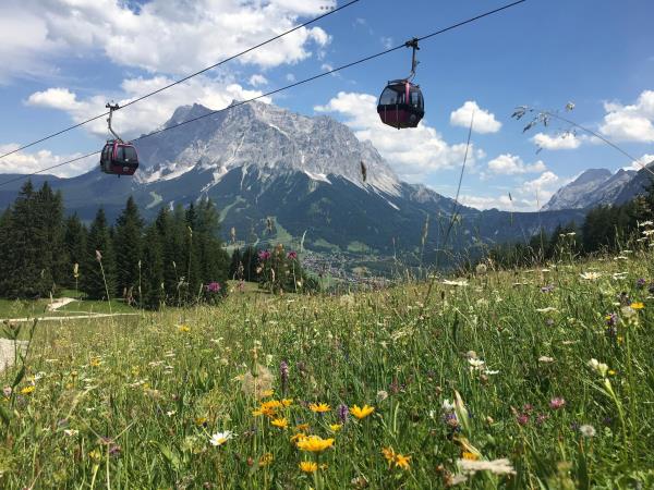 Austria walking vacation easy mountain hiking