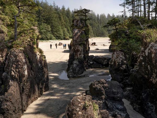 British Colombia self drive wildlife vacation