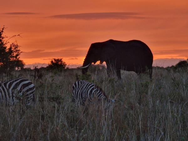 Tanzania accessible safari vacation