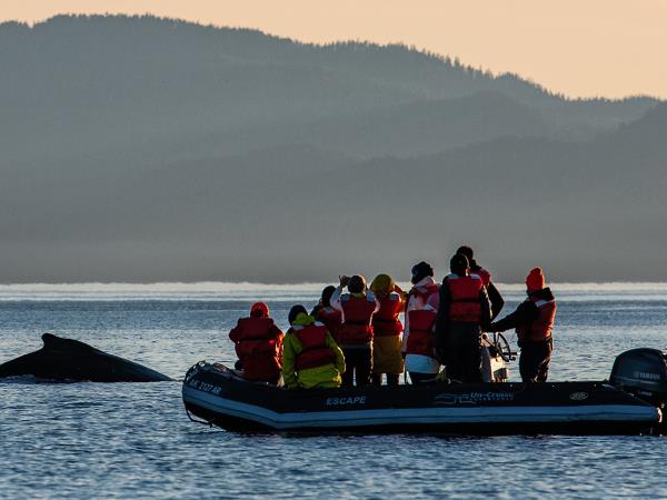Southeast Alaska cruise