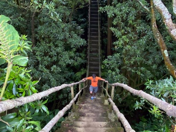 Azores walking & whale watching vacation