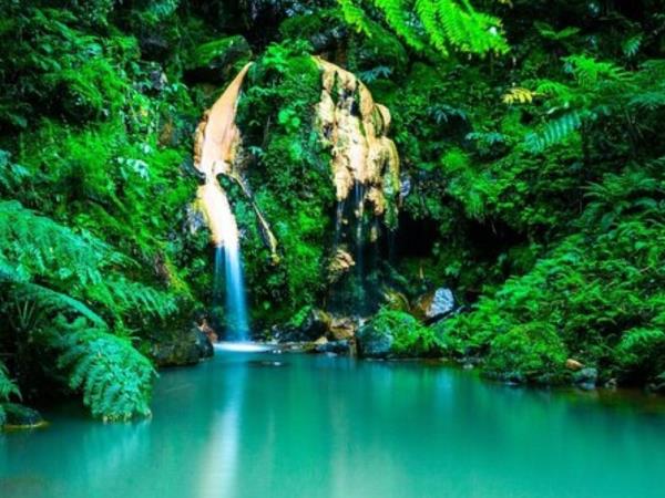 Azores walking & whale watching vacation