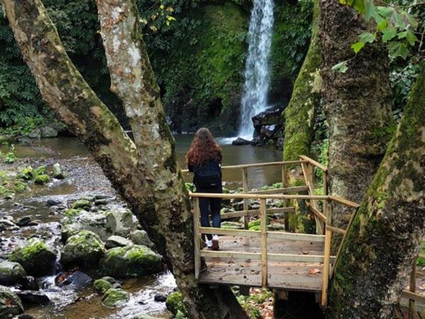 Azores walking & whale watching vacation