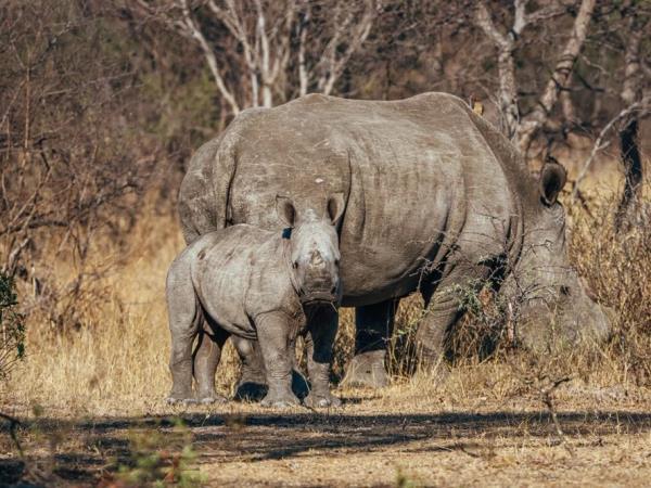 Zimbabwe vacations, tailormade