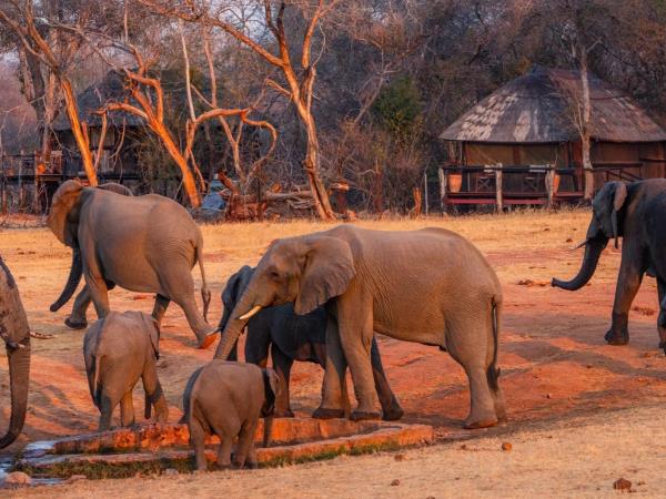 Zimbabwe vacations, tailormade