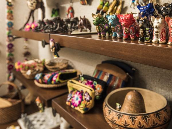 Peruvian Amazon river cruise, 5 days