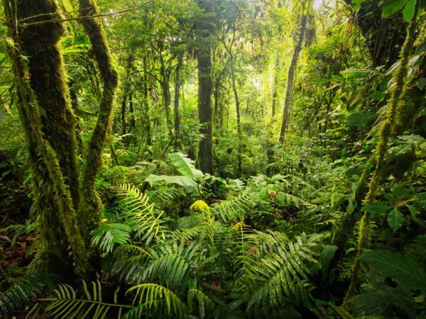 Costa Rica luxury nature vacation