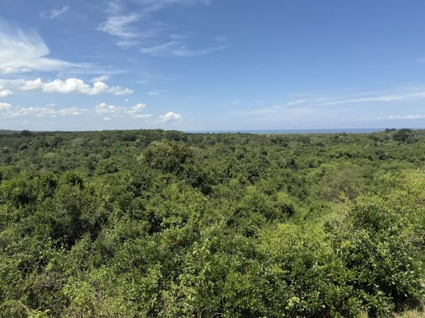 14 day Uganda safari tour