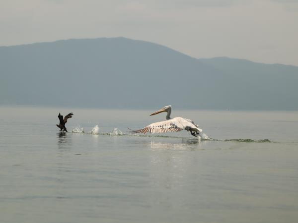 North Macedonia small group activity vacation