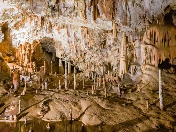 Slovenia electric self drive vacation