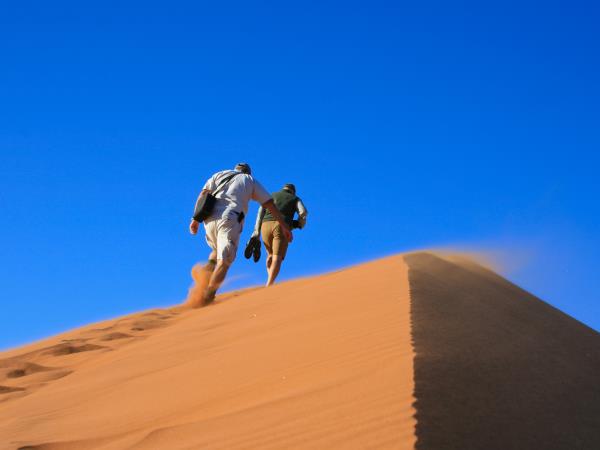 Cape Town to Namibia tailored made tour