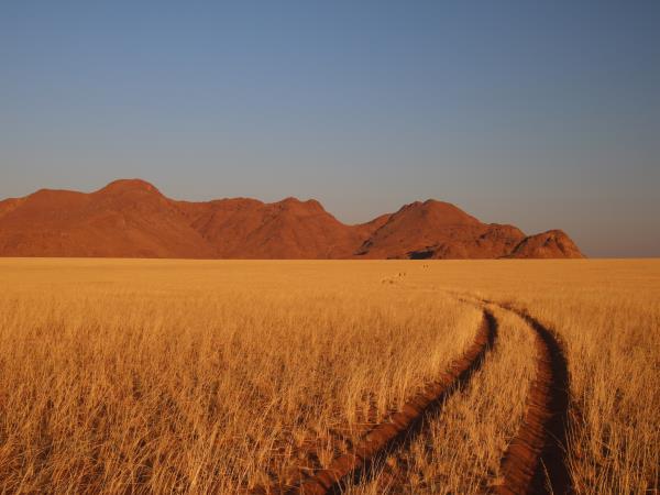 Cape Town to Namibia tailored made tour