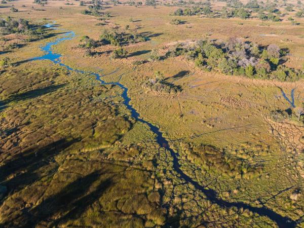 Botswana northern parks and Okavango Delta tour