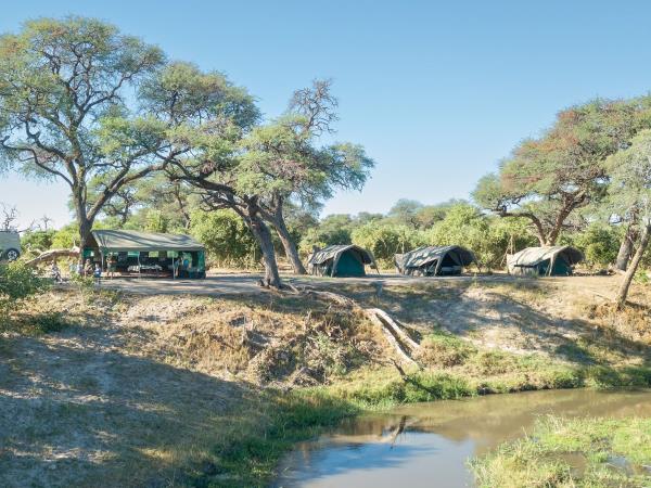 Botswana northern parks and Okavango Delta tour
