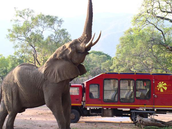 Zambia and Malawi Livingstone Trail vacation