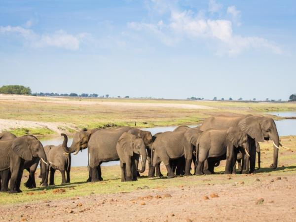 Kenya luxury fly-in Safari 