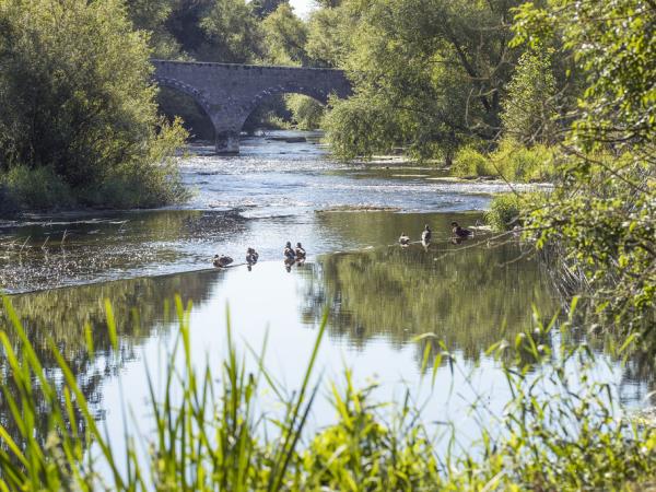 Ireland luxury glamping vacation, Co Carlow