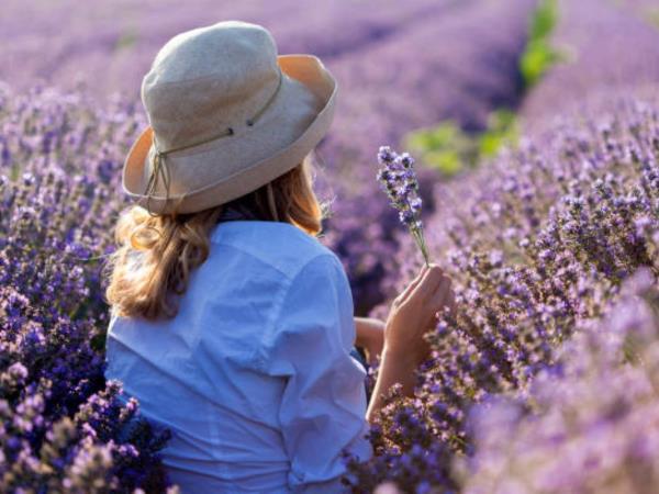 Bulgaria in bloom, lavender and roses holiday