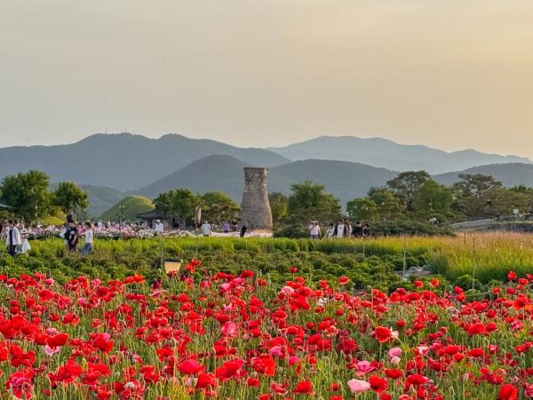 Korea by rail tailor made tour
