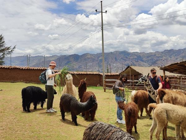 Colombia and Peru tour, 15 day 