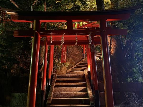 Japan 11 day small group tour