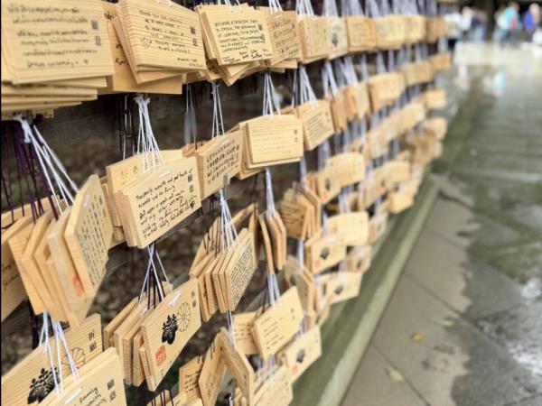 Japan family 12 day tour