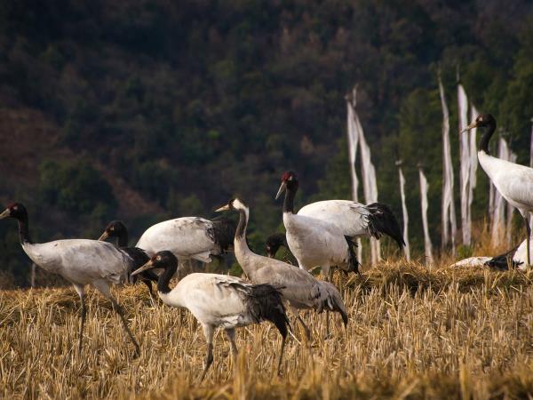 Bhutan and North India vacation