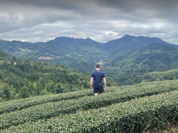 Panda volunteering holiday in China