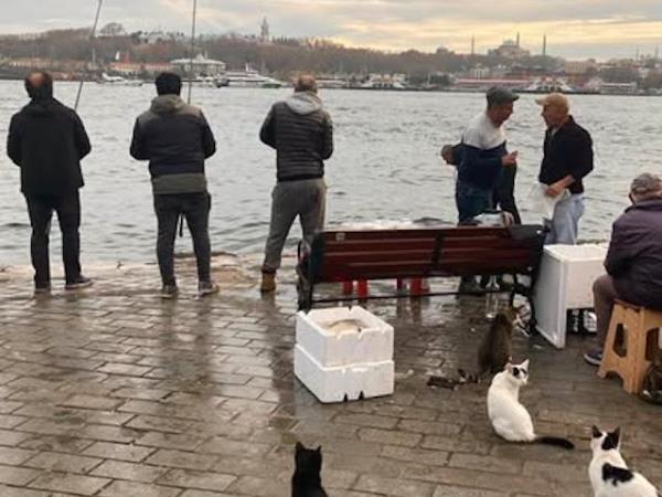 Turkey highlights vacation, 10 days