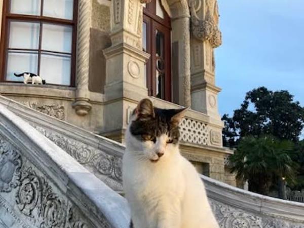 Turkey highlights vacation, 10 days