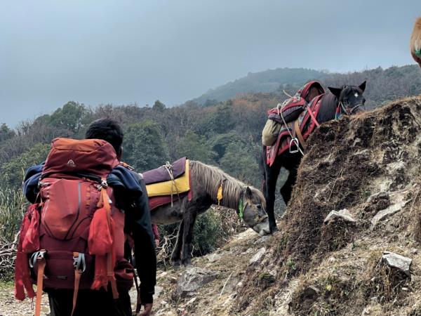 Nepal 19 day tour,culture, wildlife & Annapurna