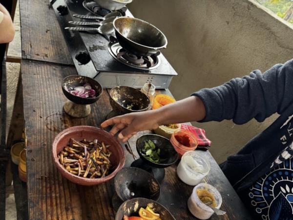 Sri Lanka family tour, small group