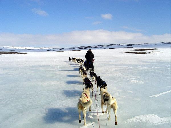 Luxury Arctic vacation with Northern Lights