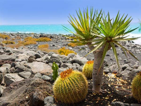 Lanzarote walking vacation