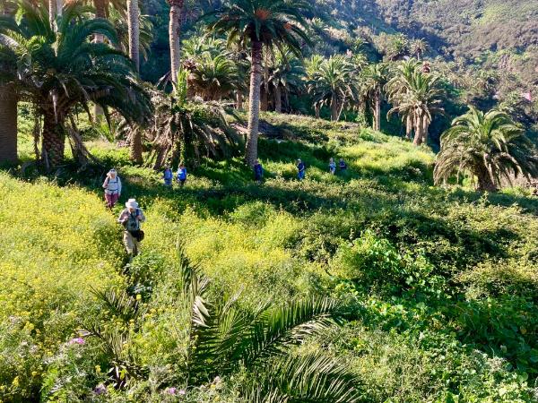 La Gomera hiking vacation