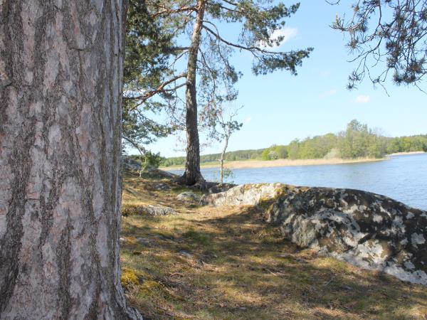 Stockholm summer vacation