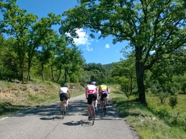 Avignon to Nice cycling tour in France