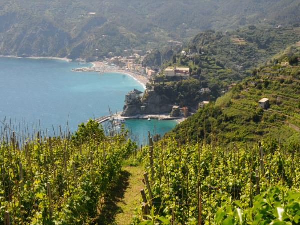 Cinque Terre coastal hiking vacation