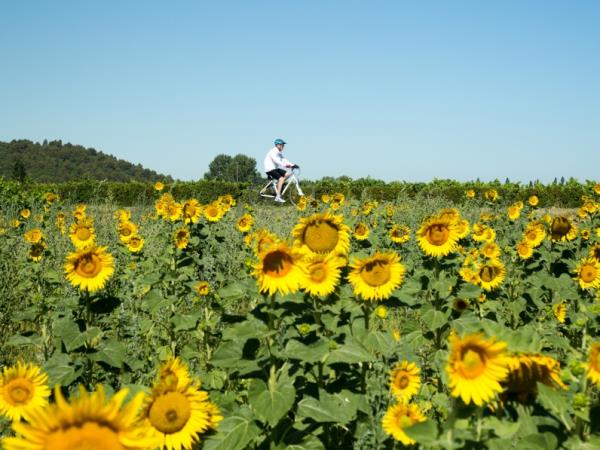 South of France self guided cycling tour