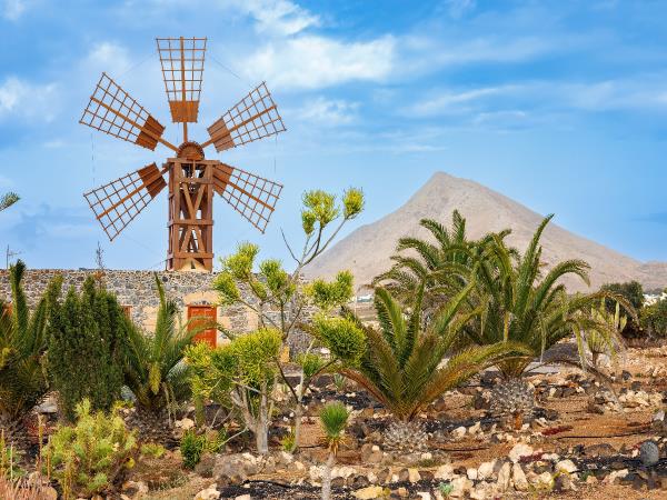 Fuerteventura & Lanzarote walking vacation