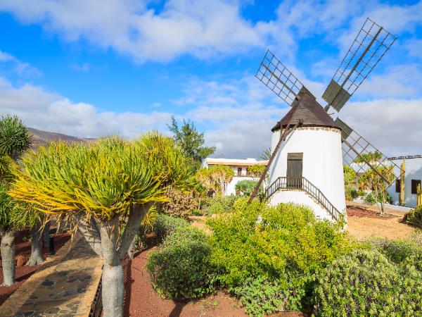 Fuerteventura & Lanzarote walking vacation