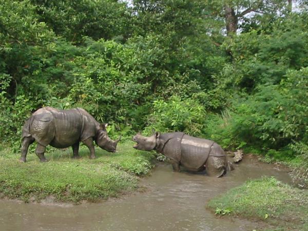 Nepal wildlife safari and rafting vacation