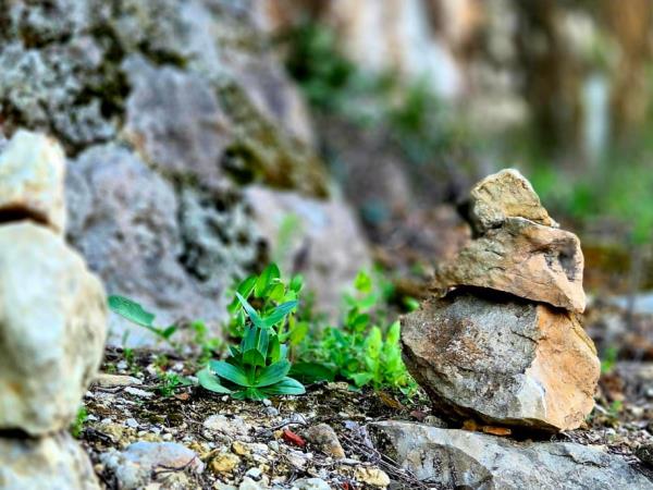 Vegan yoga course in Spain