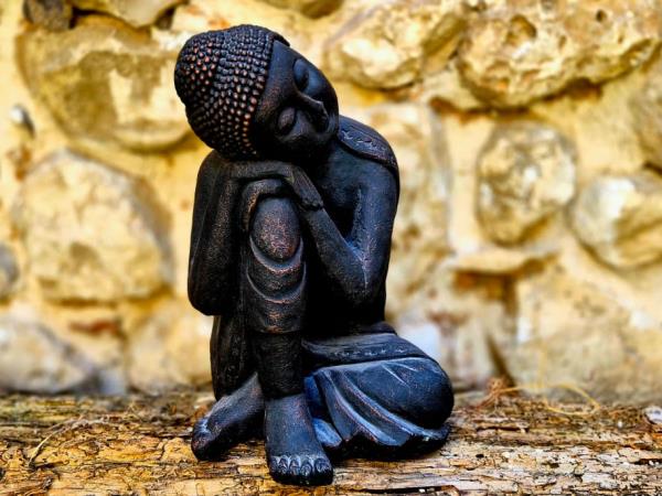 Vegan yoga course in Spain