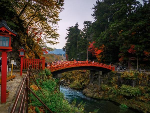 Northern Japan tour 